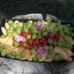 Fruit Plate - Guided camping trips in Yellowstone