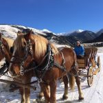 Draft Horses in Winter - Yellowstone Carriage Rides
