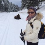 Woman and Bison - Cross Country Skiing in Yellowstone