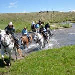Horses Exiting Water - Horseback rides near Yellowstone
