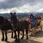 Carriage Ride in Yellowstone