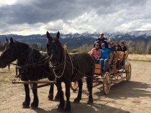 Carriage Ride Group