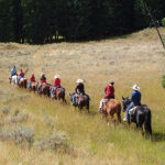 Line of Riders - Yellowstone horseback rides