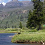 River View - Yellowstone fly fishing trips