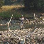 Caribou Skull - Fly fishing in yellowstone