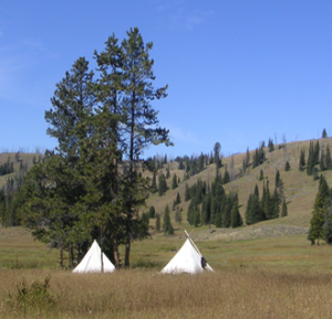 Tepees and Trees